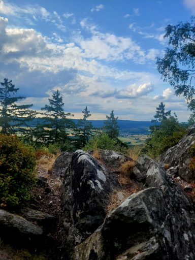 Ringkopf