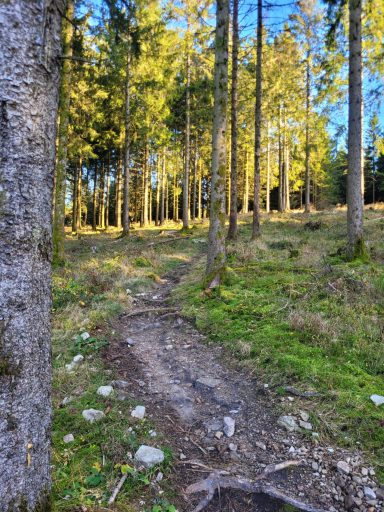 Trailpark Erbeskopf