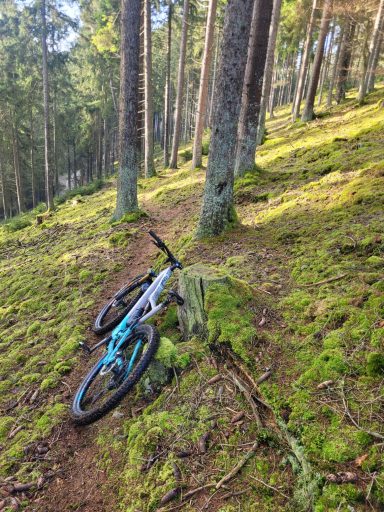 Lieblingstrail